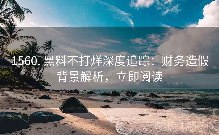 1560. 黑料不打烊深度追踪：财务造假背景解析，立即阅读