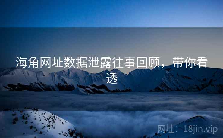 海角网址数据泄露往事回顾，带你看透